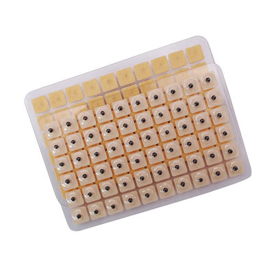 침술 바늘 기능 마사지 600개/박스 일회용 귀 압력 씨앗 다 조건 귀 씨앗 침압 키트