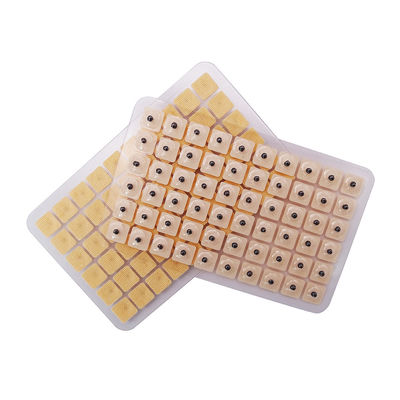 침술 바늘 기능 마사지 600개/박스 일회용 귀 압력 씨앗 다 조건 귀 씨앗 침압 키트