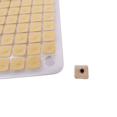 침술 바늘 기능 마사지 600개/박스 일회용 귀 압력 씨앗 다 조건 귀 씨앗 침압 키트